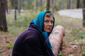 Defocus portrait of russian grandmother senior old woman seating on log in pine autumn forest. Old women in coat and shawl. Sad person. Nature background. Out of focus