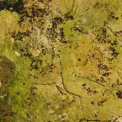 Templates, patterns, soft light