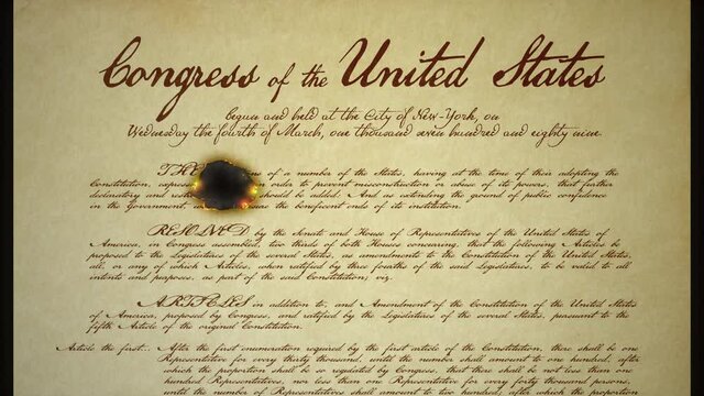 Bill Of Rights Image Burning