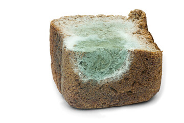 Moldy rye bread close-up macroshot
