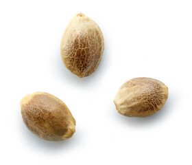 hemp seeds macro