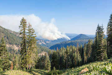 Wildfire in California. Smoke from a fire in the blue sky. Natural disaster. Forest damage