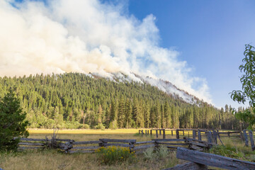 Wildfire in California. Smoke from a fire in the blue sky. Natural disaster. Forest damage