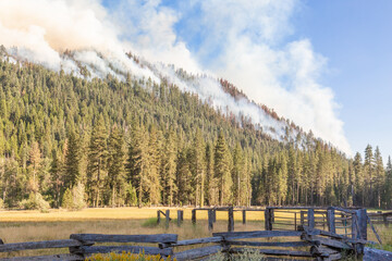 Wildfire in California. Smoke from a fire in the blue sky. Natural disaster. Forest damage