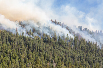 Wildfire in California. Smoke from a fire in the blue sky. Natural disaster. Forest damage
