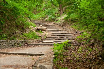 Obraz premium stone stairs in the forest