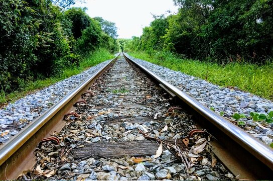 railroad tracks in the countryside