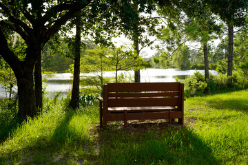 A bench overlooks a tranquil spot near the water.  