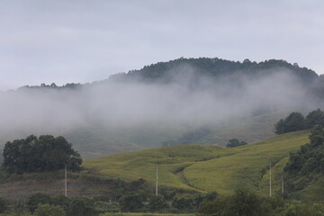 Fototapeta na wymiar fog on the mountain