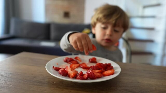 Little boy eating strawberries. Child grabbing strawberry fruit