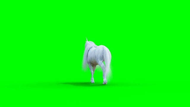 Walking white magical unicorn. Green screen realistic animation.