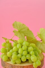Grape. A bunch of green grapes with leaves on a light pink background. natural fruits and berries
