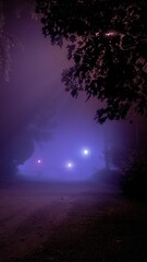 mistery fog city