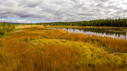 Pollywog Marshes. Very unique landscape of ponds and wetlands in Cariboo Region in British Columbia