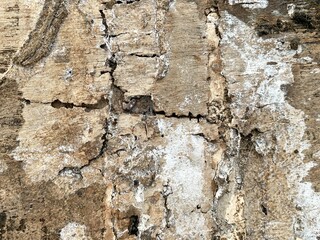 old broken wood texture background