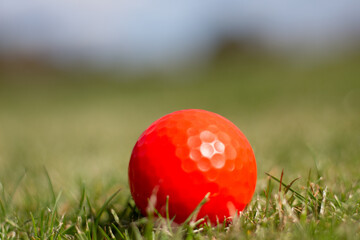 Red gold ball on grass