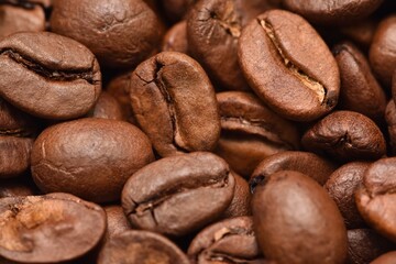コーヒー豆