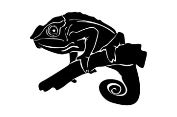 Fototapeta premium chameleon Silhouette