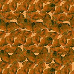 brown color leaves on light brown background abstract graphic design