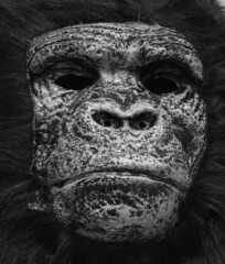 Gorilla Face Mask Cut Out