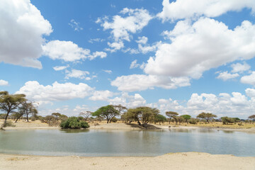 Wildlife gathering in the wide sky and waters of Tarangire National Park in Tanzania