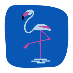 Flamingo bird Illustration