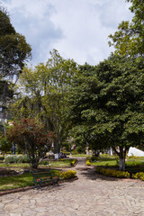 sunny day in the park