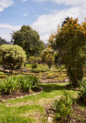 path in the park