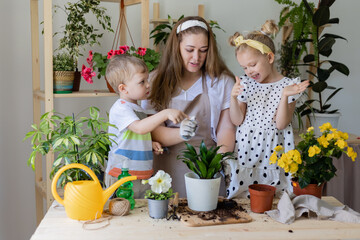 mother with her son and daughter in fasting plant or transplant indoor flowers. Little helper by...