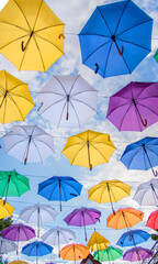 Umbrellas/Hofheim