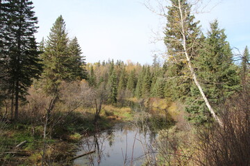 Fototapeta na wymiar Autumn On The Creek, Whitemud Park, Edmonton, Alberta
