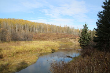 Fall Haze Along The Creek, Whitemud Park, Edmonton, Alberta