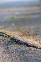 Broken street after earthquake shows rift and cracks as dangerous demolition and repair work is needed or just a tree root underneath the street causing road damage and bumpy surface as traffic risk
