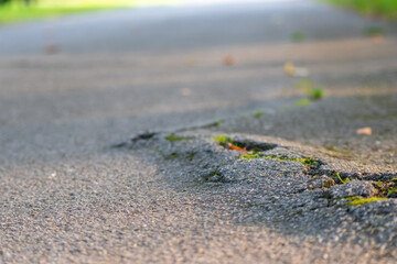 Broken street after earthquake shows rift and cracks as dangerous demolition and repair work is needed or just a tree root underneath the street causing road damage and bumpy surface as traffic risk