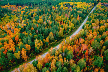 Aerial top view Nature autumn road in yellow forest, concept of trip by red car