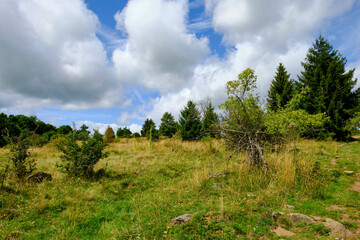 Landschaft im NSG „Hohe Rhön