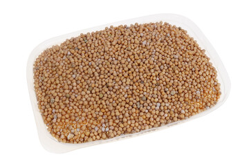 Mustard spice plant   seeds in plastic  box isolated studio macro