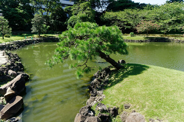 浜離宮恩賜庭園の松と池