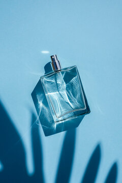 Transparent bottle of perfume on a blue background. Fragrance presentation with daylight. Trending concept in natural materials with palm leaves shadow. Women's and men's essence.