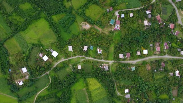 illage houses and gardens top view