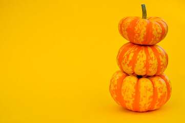 Pumpkin pyramid. Three decorative yellow-orange pumpkins isolated on the yellow background on the right. Autumn pattern and wallpaper. Preparing for halloween. Harvesting pumpkins