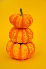 Pumpkin pyramid. Three decorative yellow-orange pumpkins isolated on the yellow background on the right. Autumn pattern and wallpaper. Preparing for halloween. Harvesting pumpkins