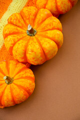 Autumn background. Colorful small yellow-orange pumpkins on a beige background. Autumn knitting with needles. Template or wallpaper. Thanksgiving day. Harvesting. Cozy autumn