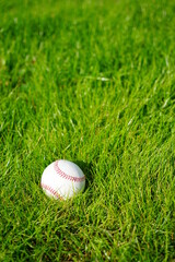 明るい屋外の天然芝に置かれた野球ボール