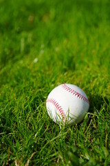 明るい屋外の天然芝に置かれた野球ボール