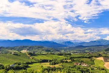 Foto op Canvas The beautiful vineyard of Collio, Friuli Venezia-Giulia, Italy © zakaz86