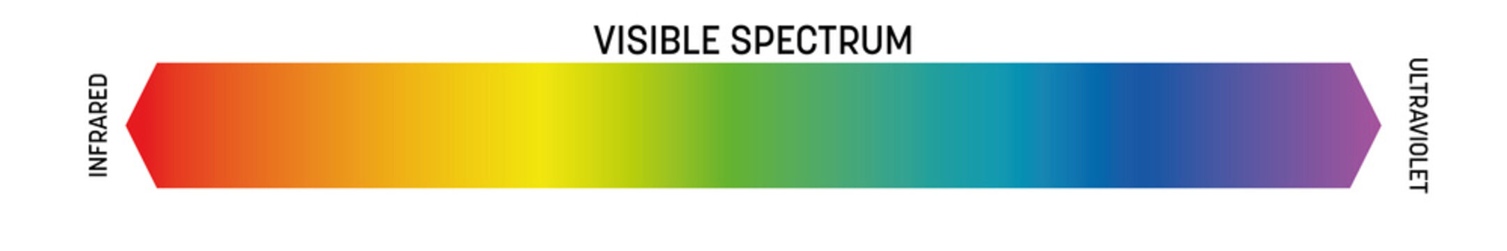 Visible spectrum of light. Electromagnetic spectrum visible by human eye. Simple schematic banner with rainbow gradient effect. Vector illustration
