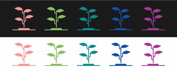 Set Sprout icon isolated on black and white background. Seed and seedling. Leaves sign. Leaf nature. Vector