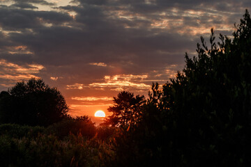 sunset in the field