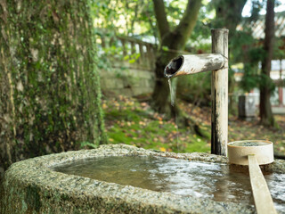 石清水八幡宮の手水鉢